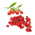 Dried Fruit Wolfberry Benefits Herb Blood Thinner